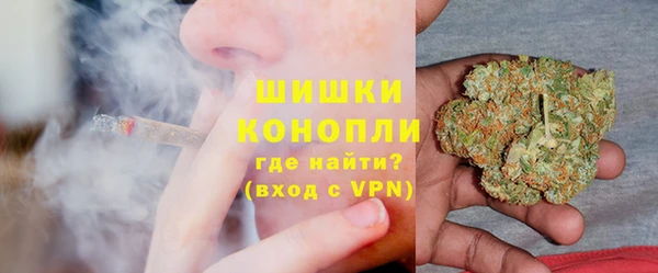 молекула духа Белоозёрский
