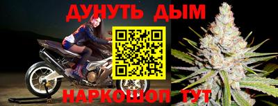хмурый Шелехов
