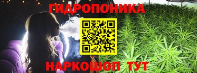 хмурый Шелехов