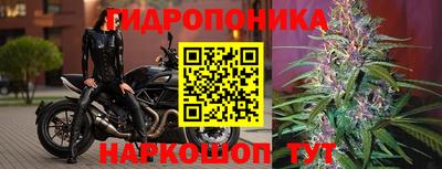 spice Шахты