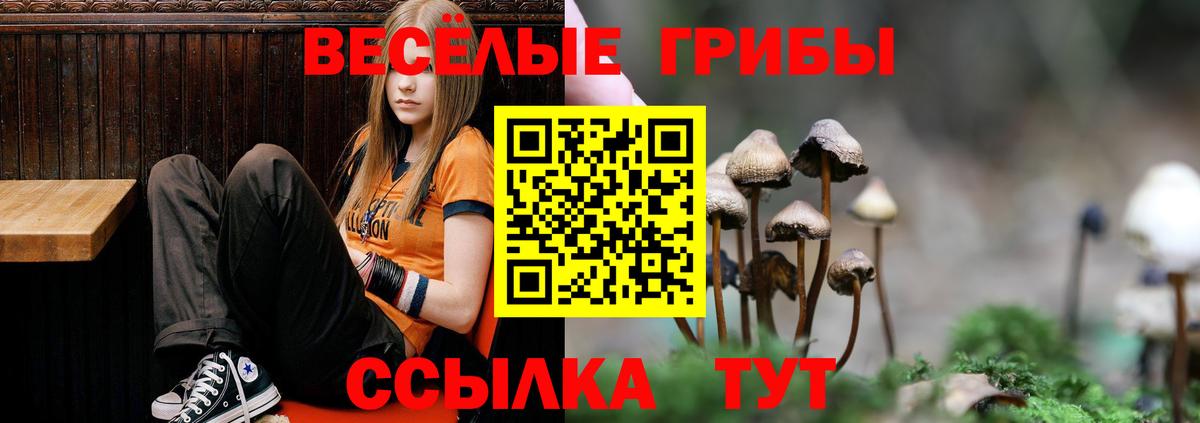 Сердобск  как найти закладки  Вход с VPN  Галлюциногенные грибы Cubensis 